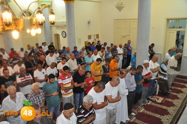 tarawe7 nozhas j (25).JPG